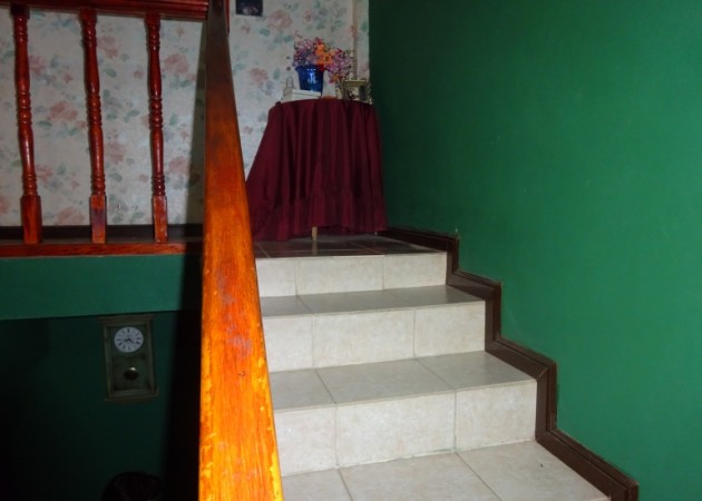 Docente Argentino 5910