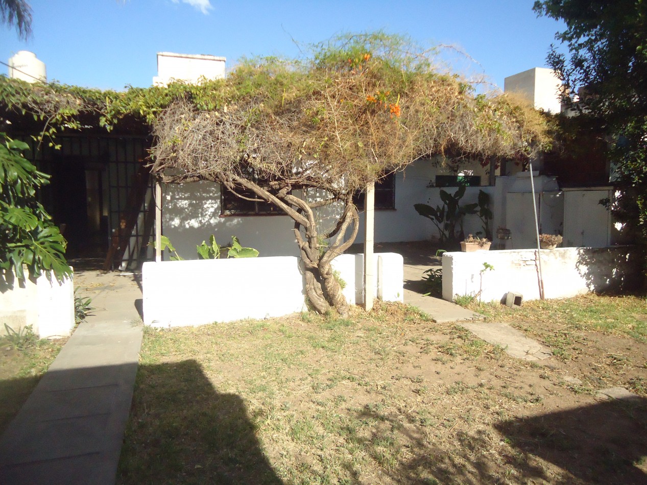 Avenida, excelente zona a una cuadra del dino R-20.