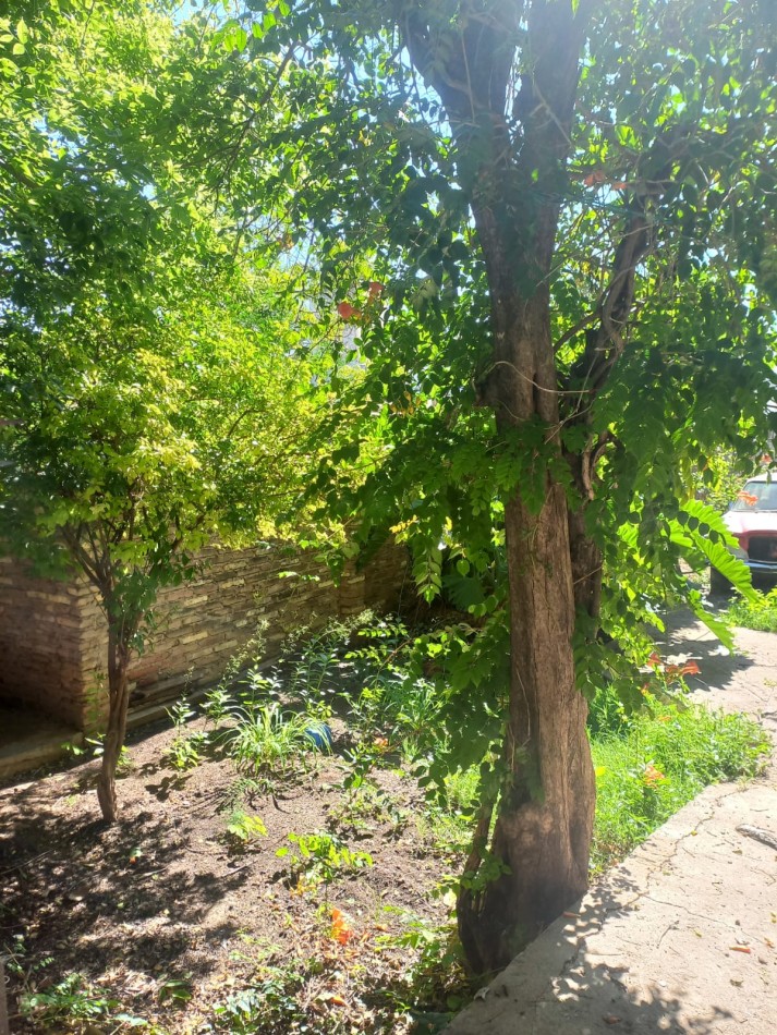 BARRIO PRIMERA JUNTA, SE VENDE CASA CON GALPON 