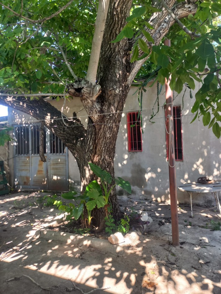 BARRIO PRIMERA JUNTA, SE VENDE CASA CON GALPON 