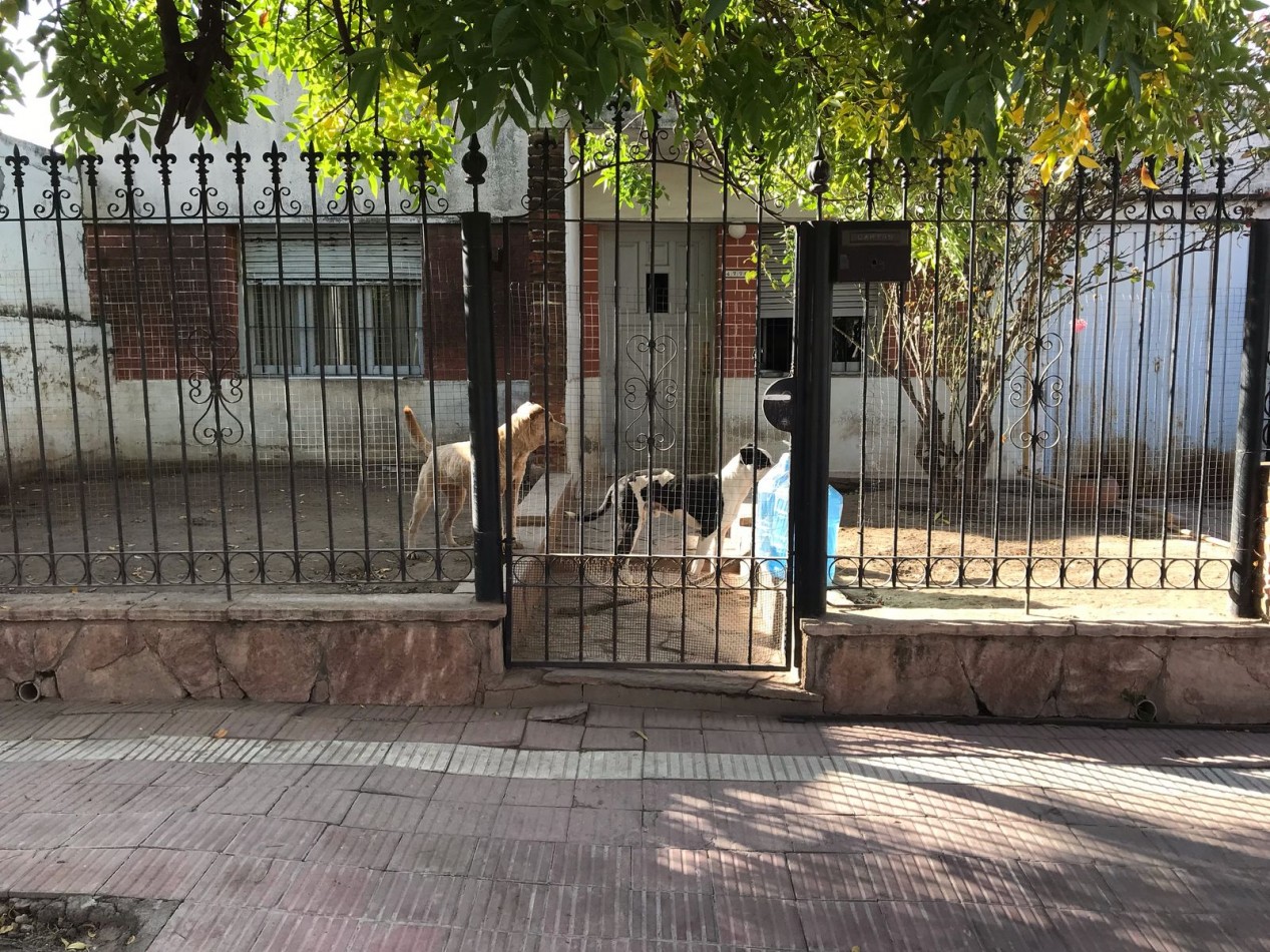 VILLA ADELA, LINDA ZONA, AMPLIA VIVIENDA.-  