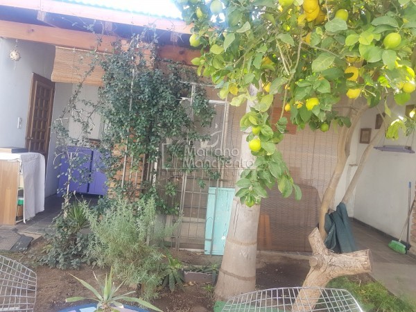 Barrio Avenida, se vende excelente casa mas departamento 