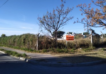 TERRENO EN ALQUILER 6000 METROS.- ALTO ALBERDI